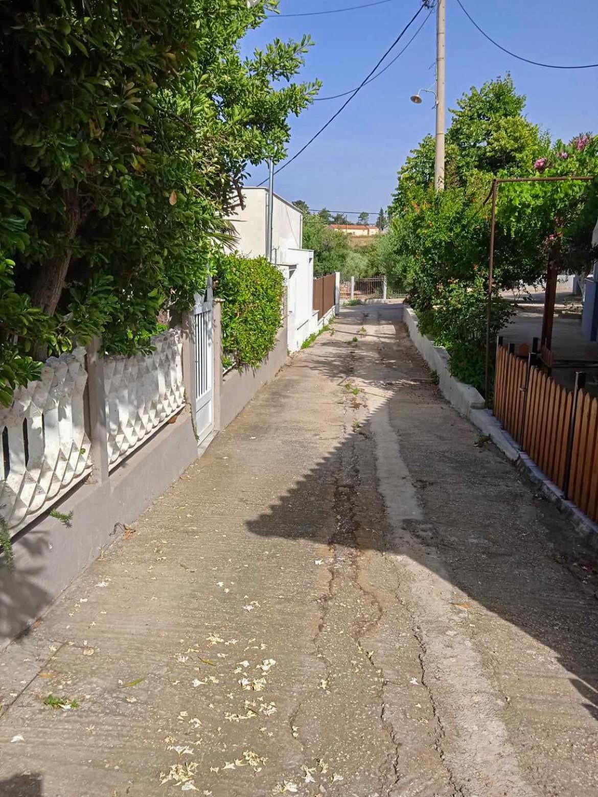Κυανή Ακτή - Agia Paraskevi Nea Nea Makri Esterno foto