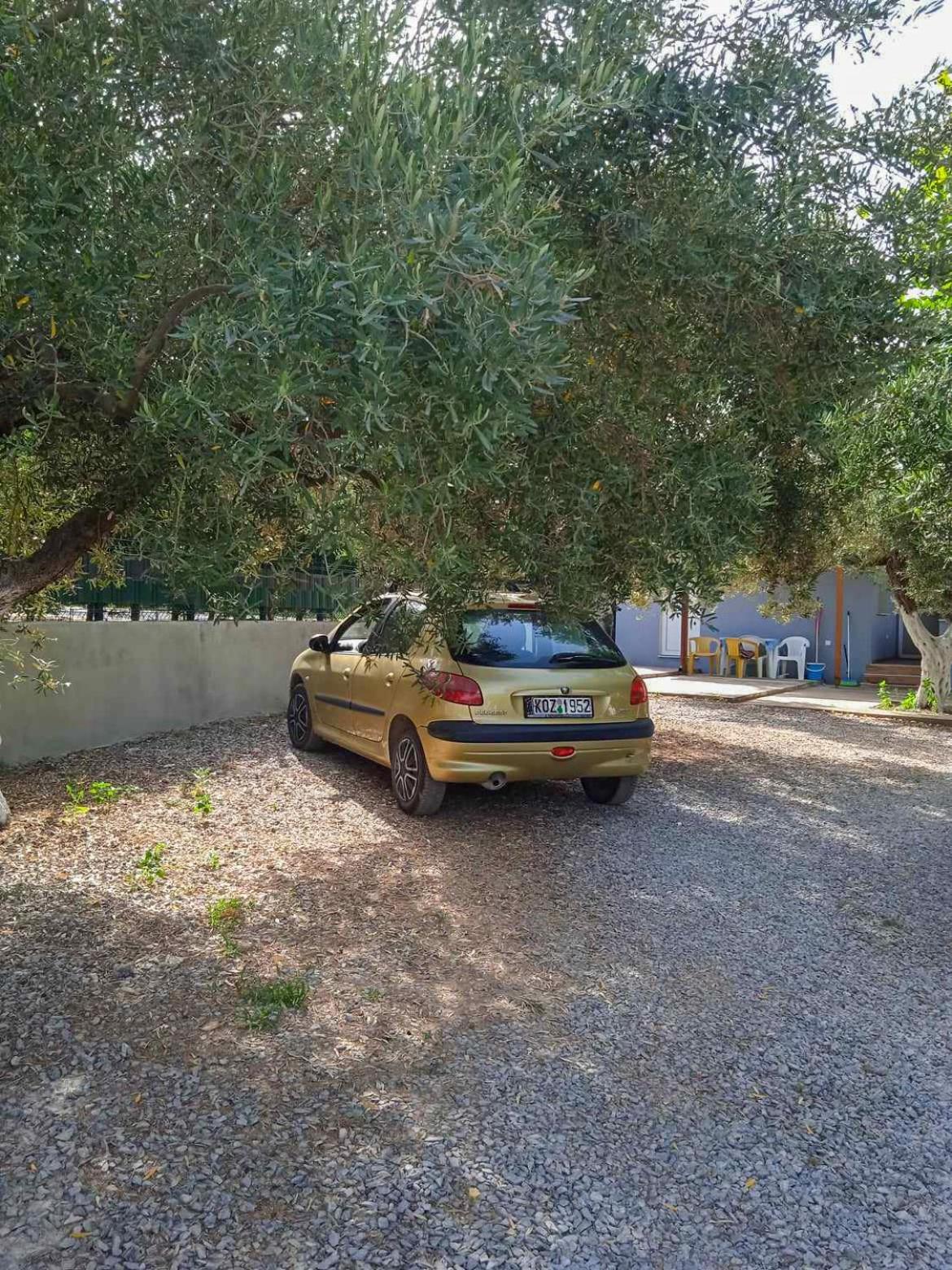 Κυανή Ακτή - Agia Paraskevi Nea Nea Makri Esterno foto