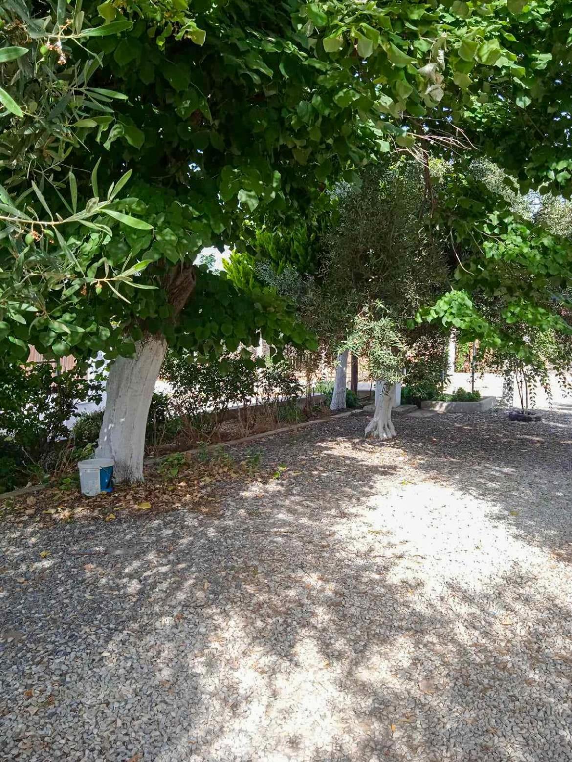 Κυανή Ακτή - Agia Paraskevi Nea Nea Makri Esterno foto