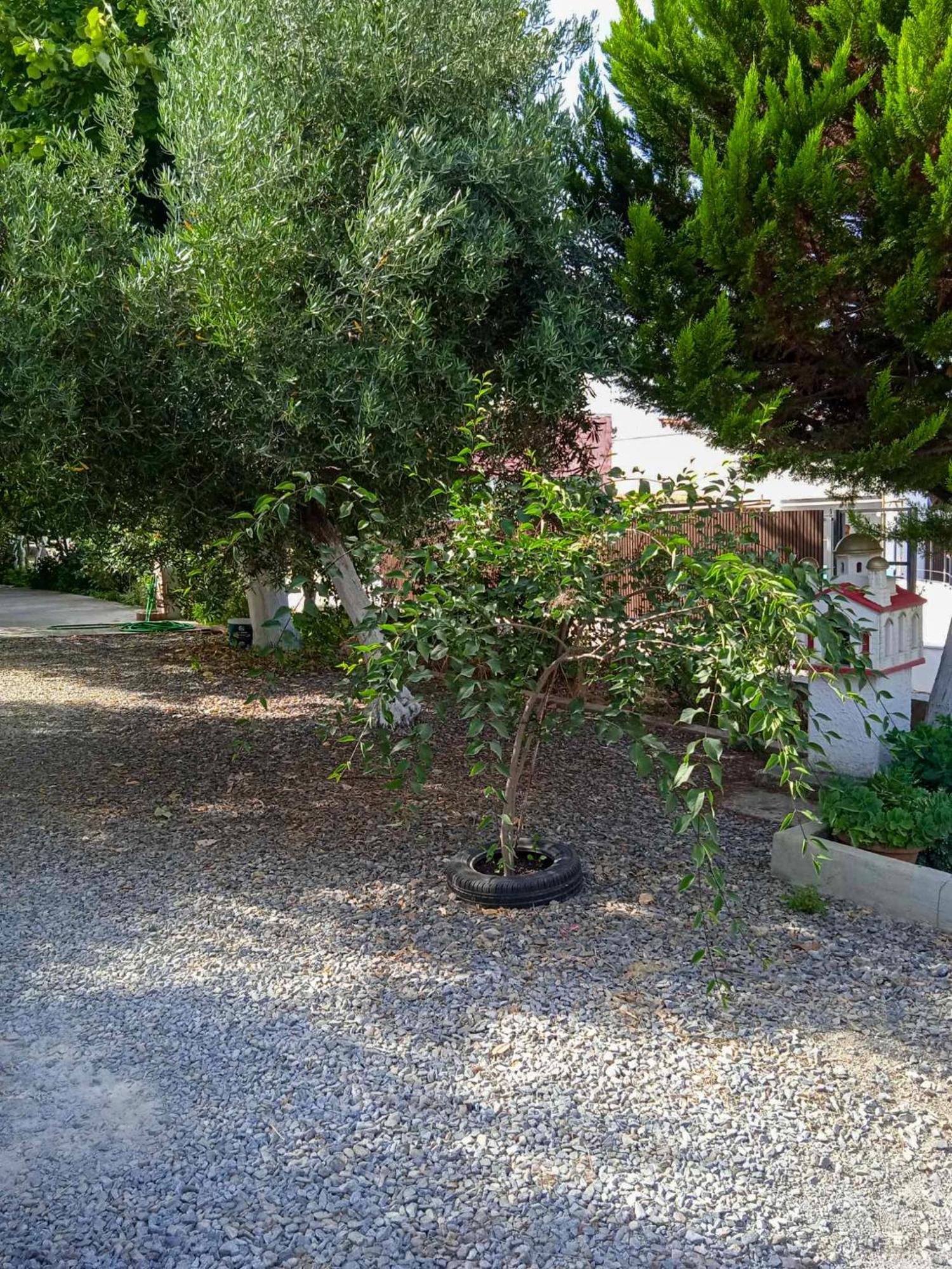 Κυανή Ακτή - Agia Paraskevi Nea Nea Makri Esterno foto